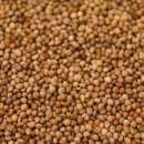 도화리마을 이미지