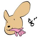 우두리 포펫 애견펜션 이미지