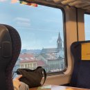 꿈의2호김밥 | [워홀말고 여행/체코 프라하] 돌아온 유럽그지_이번엔 둘이다