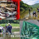 무릉도원면-3 이미지