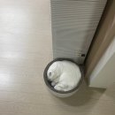 9월 학기 시작