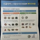 30대 자발적 수면 위/대장내시경 후기(+보험청구)
