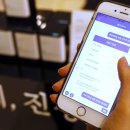 로사 전자신문