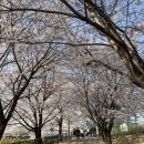 마마스조산원 | 자연주의 출산 이야기 | 린 여성병원 | 팀 마마스 | 린 산후조리원 Part.1