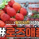 로즈애플수원