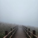 덕현3농장 | 10월 울산 당일치기 여행 / 간월재. 농도. 가지산 손두부