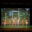 발레와 함께하는 힐링 이미지