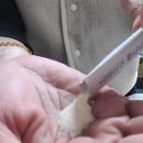 오송생명과학단지 보건지소 | 자꾸 피곤하고 예민해지는 이유 이노시톨 후기로 정리해봤어요