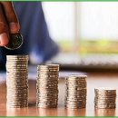 강아지나라동물병원 이미지