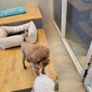 붕가붕가샵 이미지