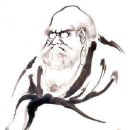 달마실천 이미지