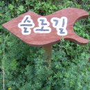 북창 + 어깨동무 산악회 청산도 무박 여행 [2014.4.26~27] 이미지