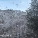 용인대올림픽태권도장 이미지