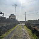 조천올레펜션 이미지