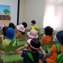 전북대학교자연사박물관 이미지