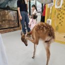 수달앤쥬 이미지