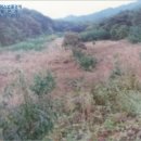 영주시부석면임곡보건진료소 | [경북 영주시토지(임야)경매컨설팅] 영주시 부석면 임곡리 산14-2 (2015타경3641) 낙찰방법 [더에이스]