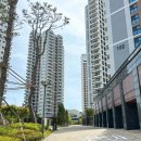 엘모멘토 오시리아 이미지