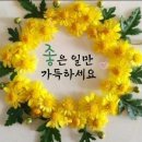 나부터. 스위스.피카소. 지도자.올여름.개망초.생존률.🎶한 많은 대동강🎵 이미지
