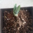 화원농장1 이미지