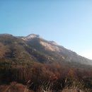 새터신풍 이미지