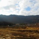 금적산