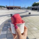 상무 유도관 이미지