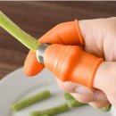 엄지농장 이미지