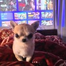 대갈놀이공원 | 가자.. 여름 삿포로