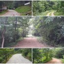 원주굽이길 3코스 회촌달맞이길 이미지