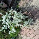 오다가다 이미지