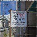 플라워안나