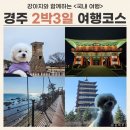 흥무로2(동) | 경주 2박3일 애견 동반 여행 코스 추천 (feat. 강아지 동반 벚꽃 여행)