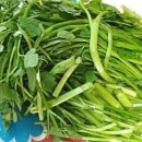 지원이 반찬 이미지