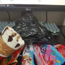 쿠팡에서 아이스크림 택배 시킨 썰.txt 이미지