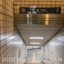 사비오펜싱클럽 | 사비오펜싱클럽 교류전 사비오배 후기 - 동탄 사브르 배우는 곳 추천