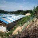 칠송농장 이미지