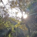 티아라호텔 | 일본 대마도 여행 이즈하라 숙소 토요코인 호텔 1박 티아라몰 쇼핑 후기