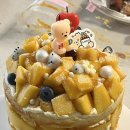 플랜디씨