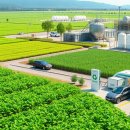 한국환경 이미지