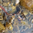 구름사다리펜션 이미지