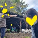 오르목장 이미지