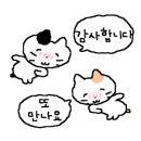 용신로 394 네이버블로그