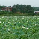 은수포낚시터 이미지