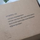 꽃보다아름다운당신 | &lt;꽃보다 아름다운 당신 시즌4&gt; 8월 꽃 후기 / 세계교육문화원 꽃 구독 서비스