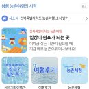 농촌마을 | 참참 농촌체험 후기 :: 다송 무지개매화마을(feat.물놀이터)