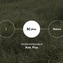 엔플러스엔 이미지