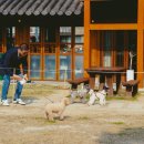 설악동물병원 - 가평군 신천중앙로 117 | 설악동물병원