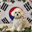 허니바우 이미지