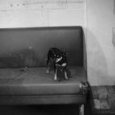 울루라떼 이미지